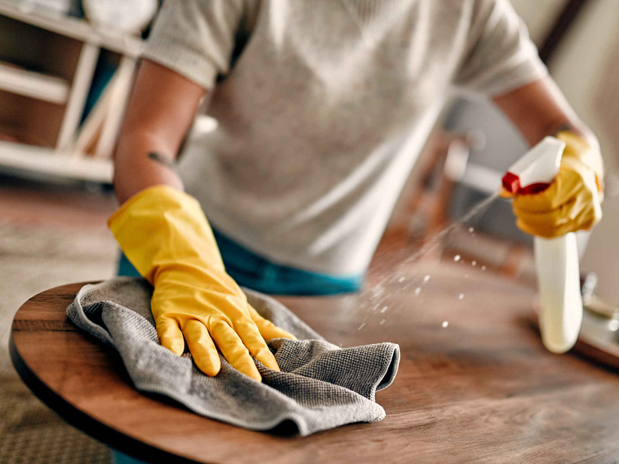 Spring Renewal: Money-Saving Spring Cleaning Ideas for a Tidier Home