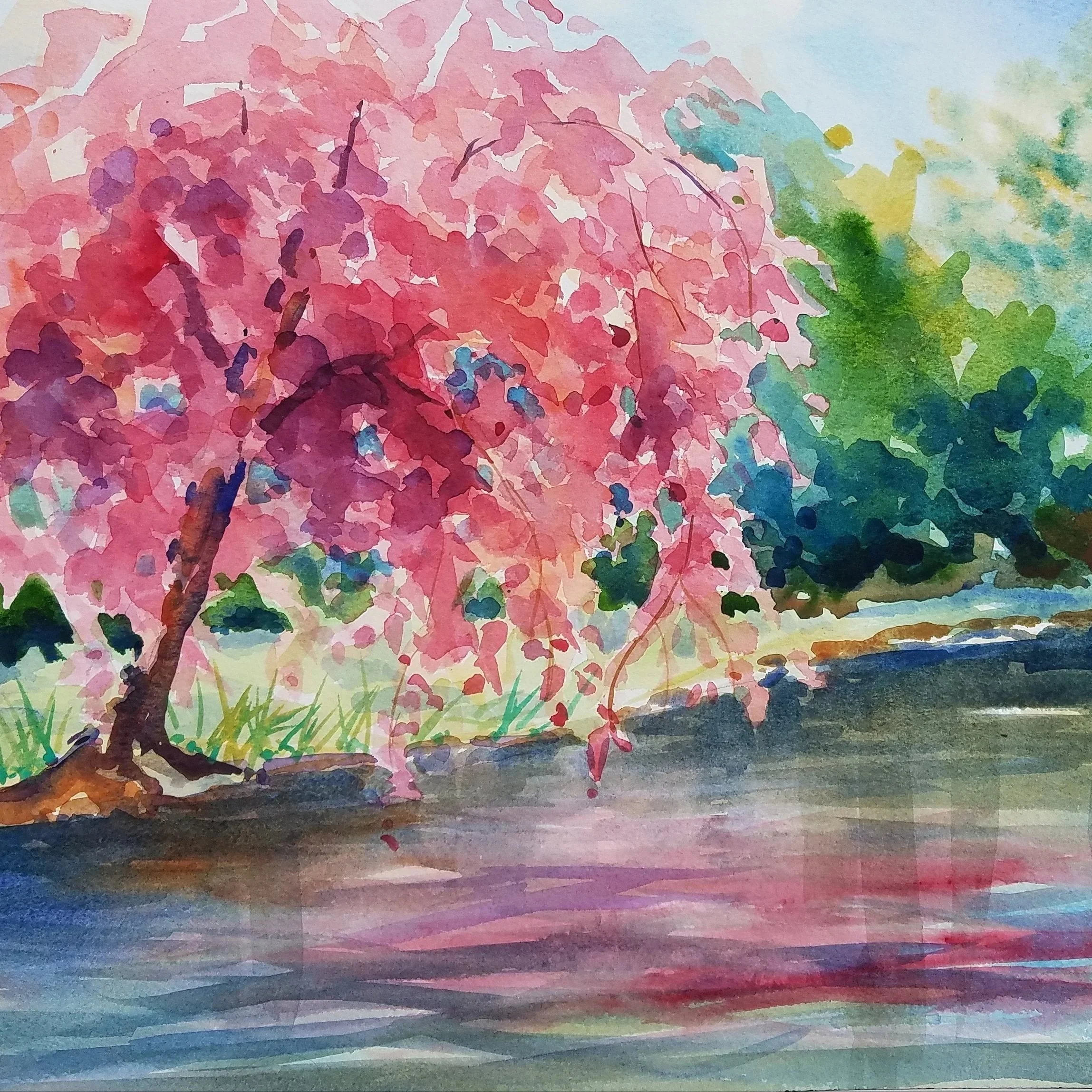 A watercolor painting of a pink blossoming tree beside a body of water, with a green grassy area in the foreground and a blue sky in the background.