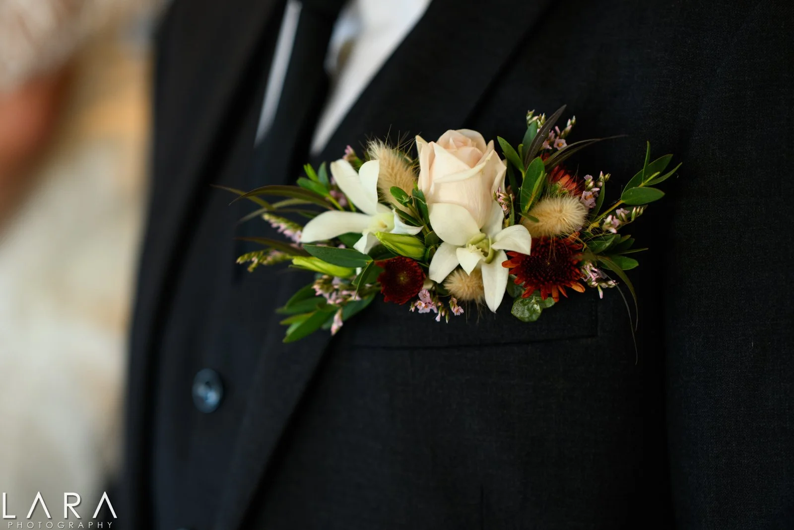 Lara Photography 25162352.jpg