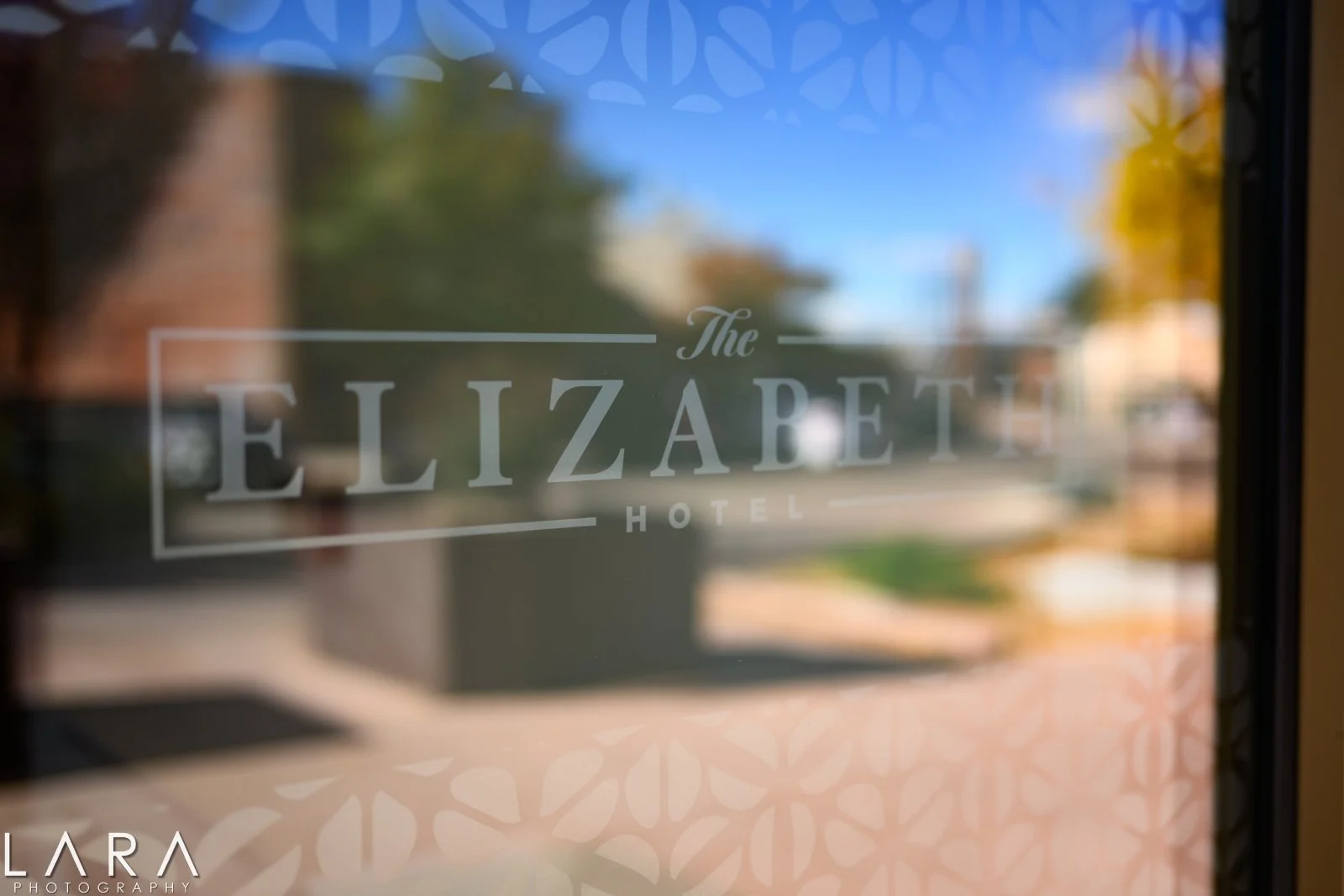 Lara Photography 25141048.jpg