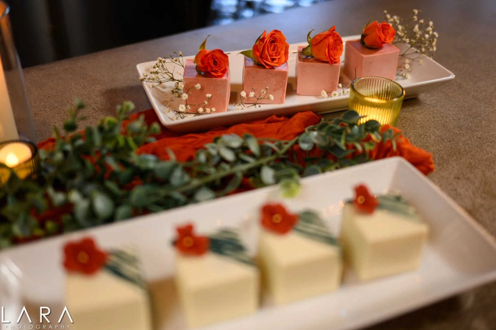 Lara Photography 25152652.jpg