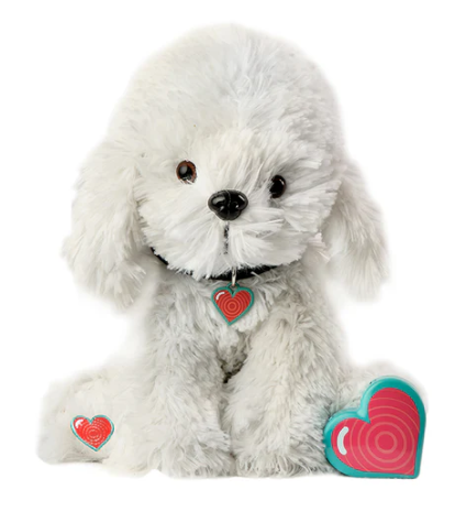 Bichon Puppy