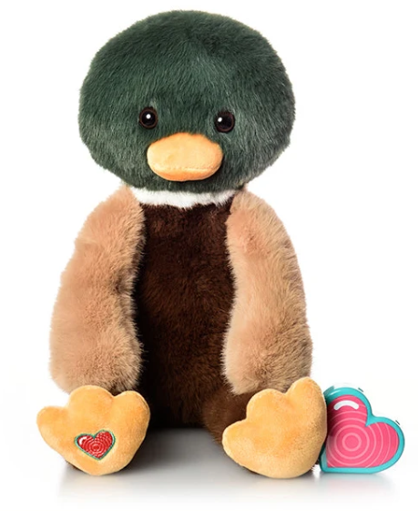 Mallard Duck