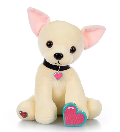 Chihuahua Puppy