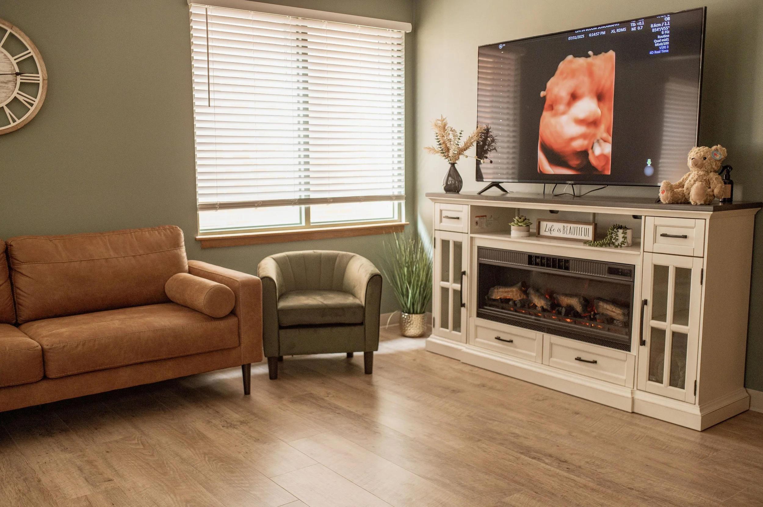 Living room with TV displaying 3D ultrasound image above a white entertainment center with electric fireplace, decorated with vases and plants, and a "Life in Bloom Sonography" sign leaning against the wall.