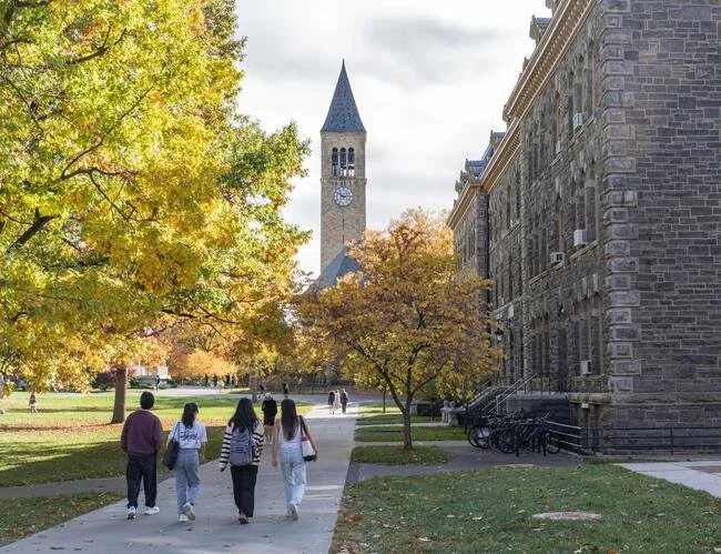 The Cornell Case