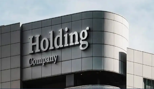 Should You Have a Holding Company?