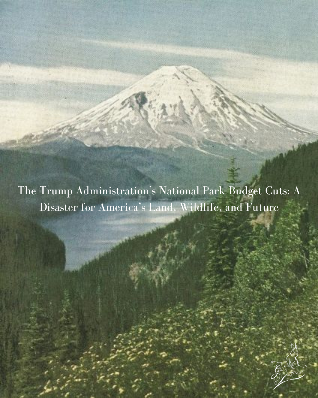 The Trump Administration’s National Park Budget Cuts: A Disaster for America’s Land, Wildlife, and Future&nbsp;