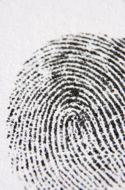 How True Crime Damages Our Souls and Society