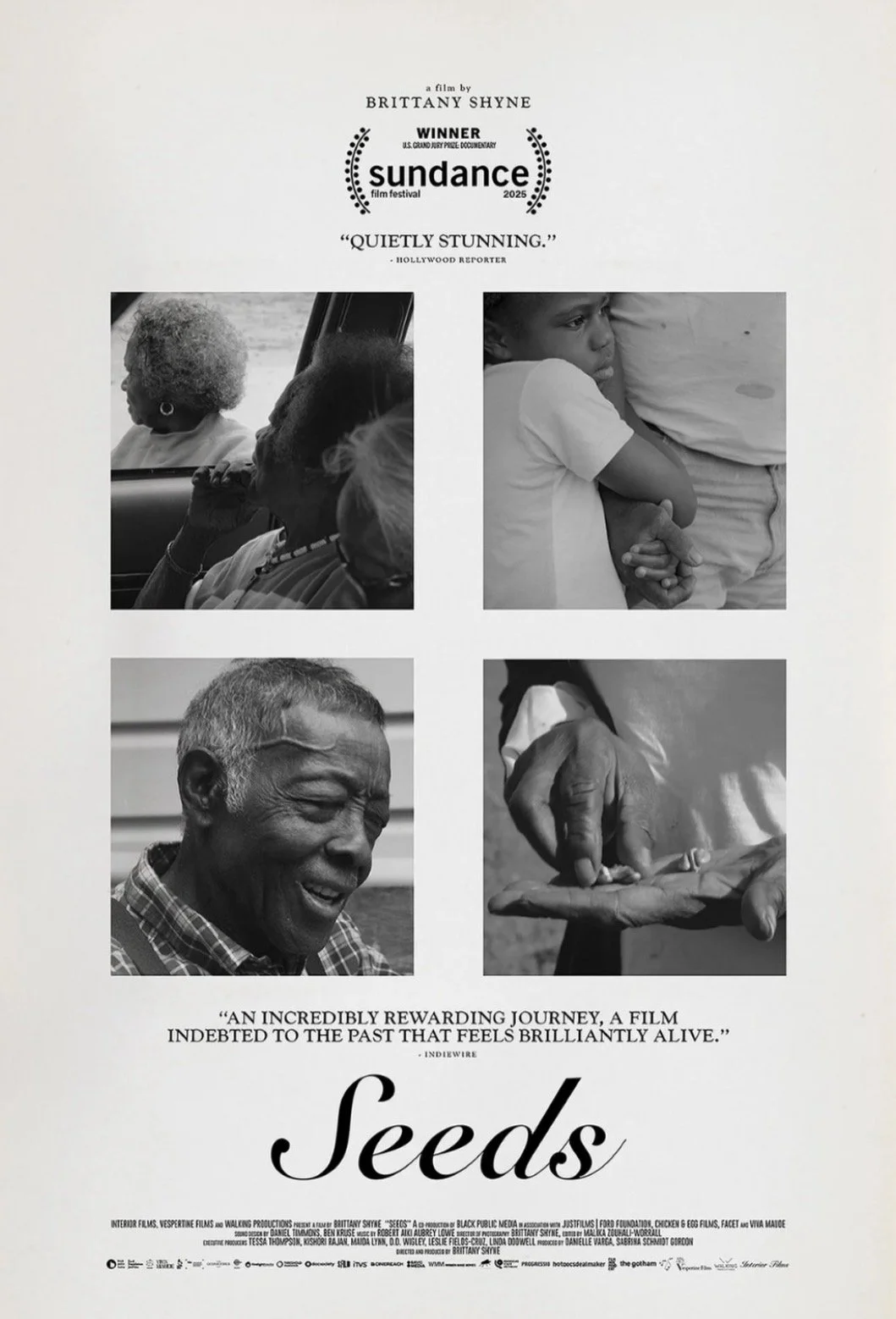 The Roots We Plant and How They Grow: An Exploration of Brittney Shyne’s 'Seeds'