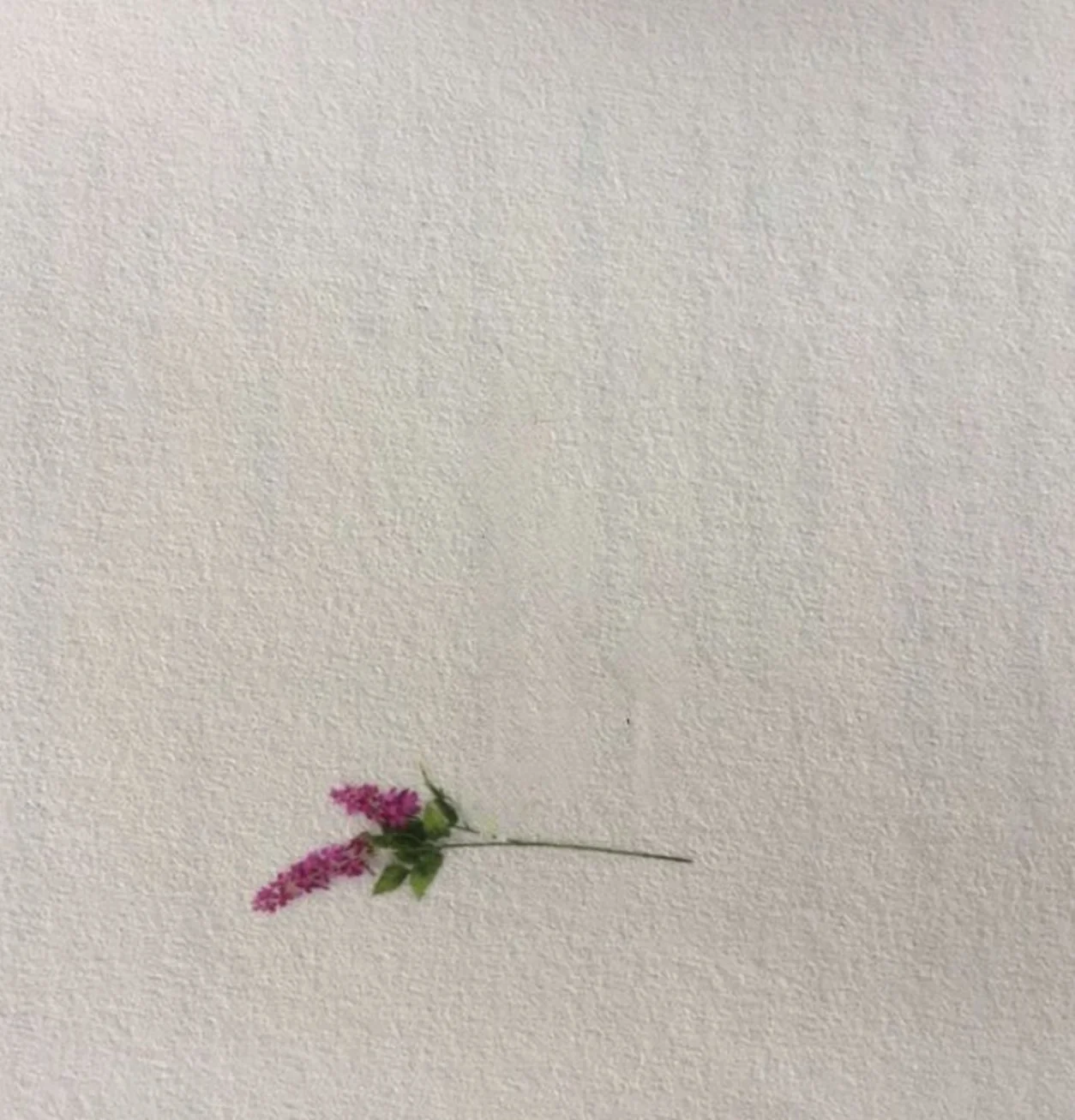 In Poems We Find Ourselves: An Anthology of Life’s Ups and Downs