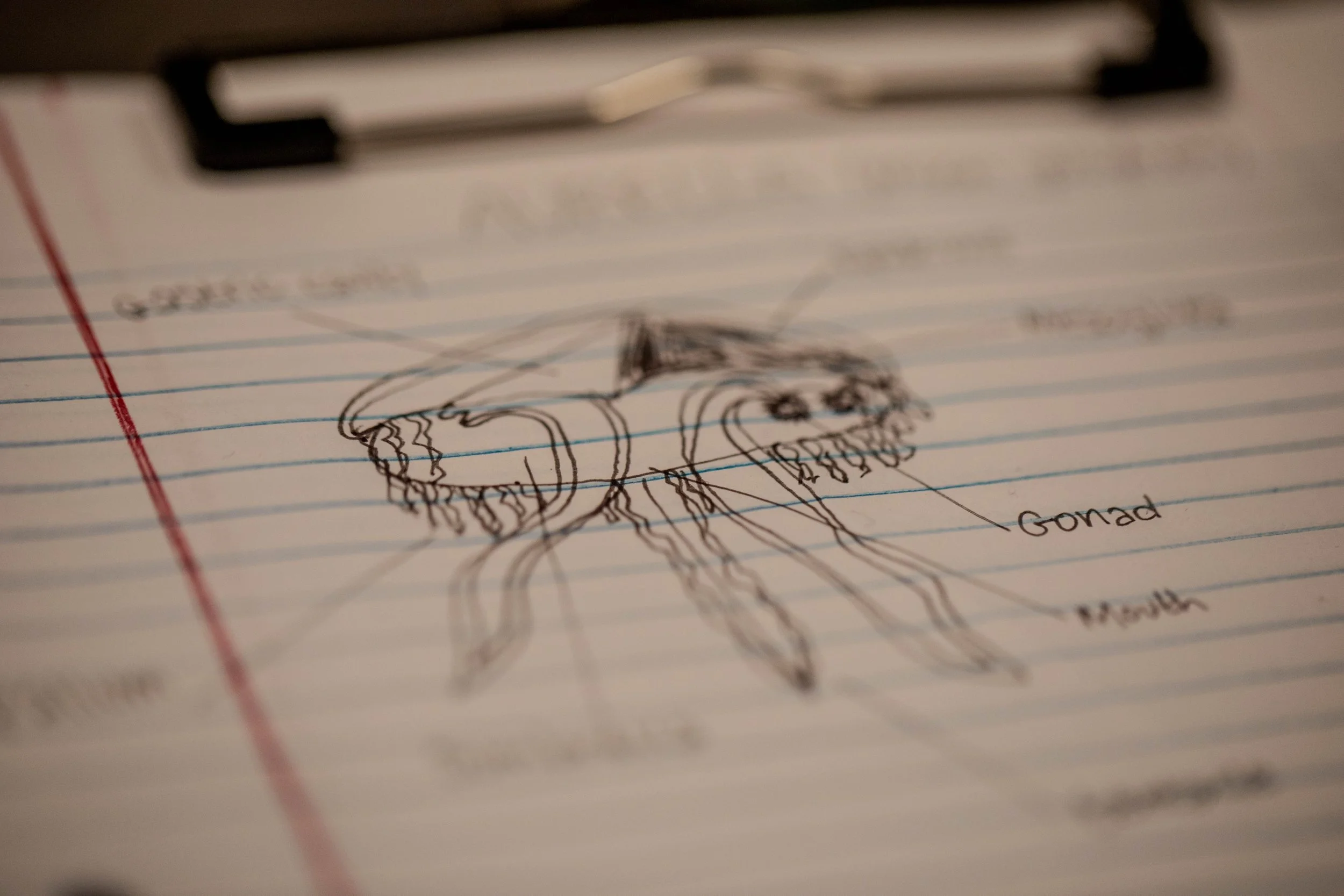 Sketch Prop from Set