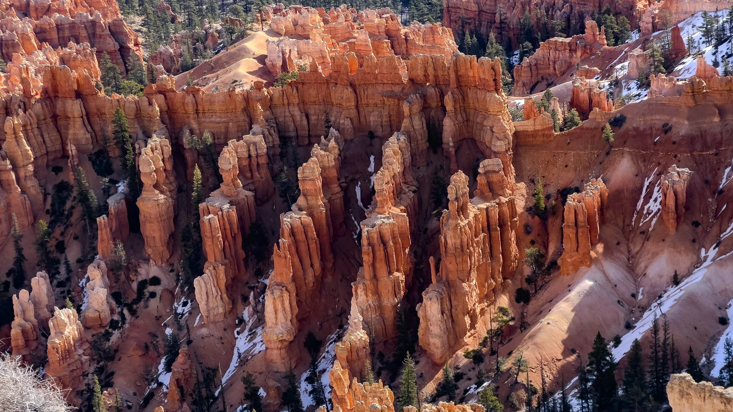 Hoodoos, Bryce Canyon Utah