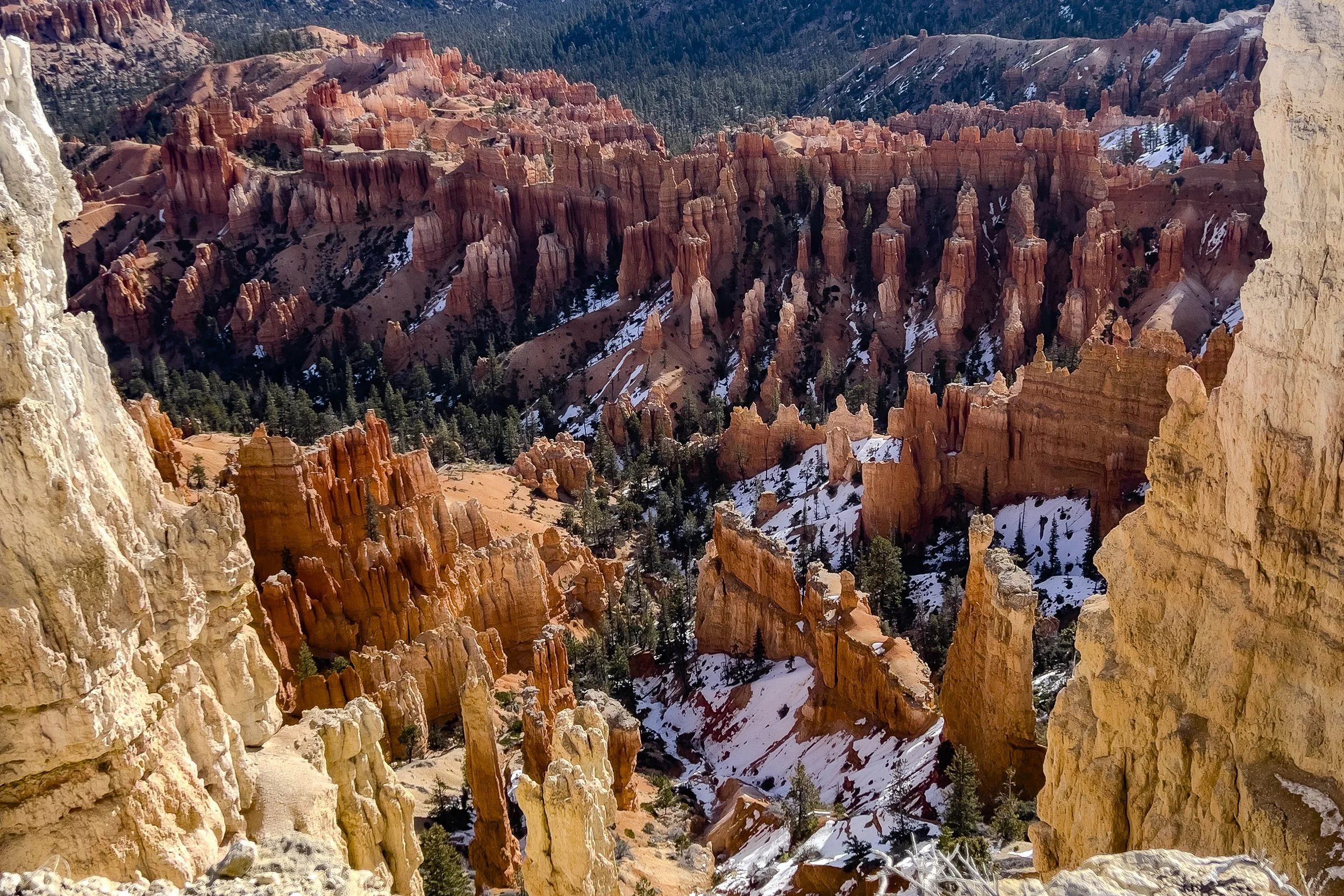 Hoodoos, Bryce Canyon Utah