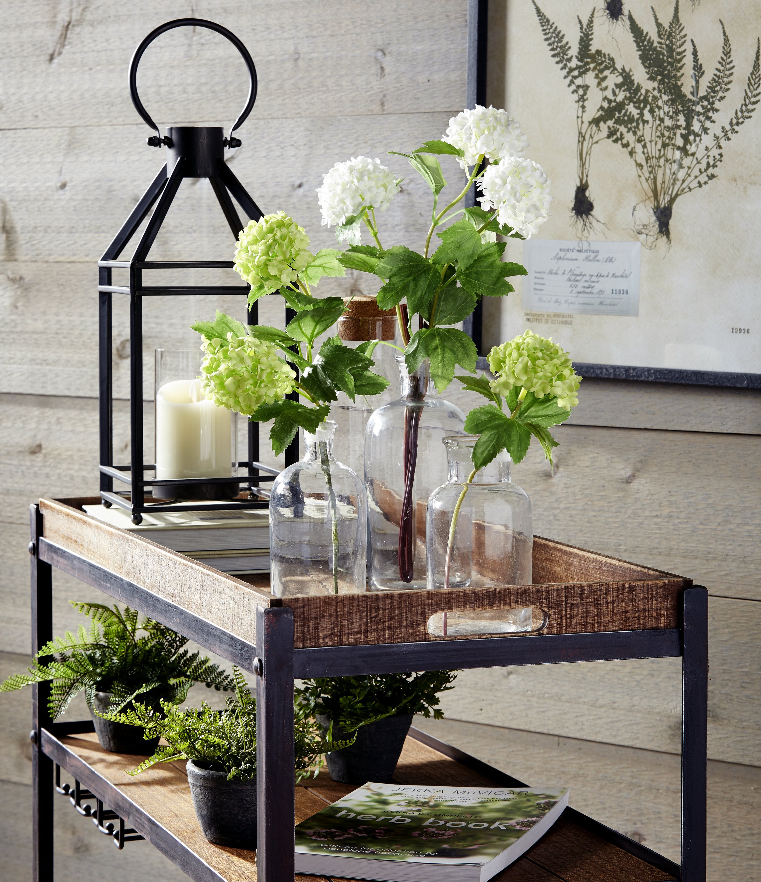 potted ferns for indoors, cut hydrangea stems, candle lantern