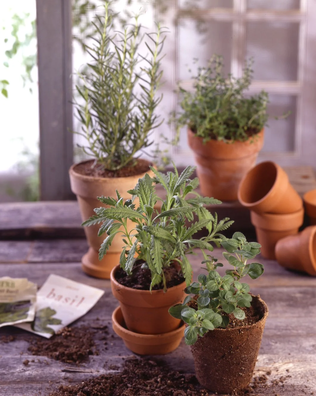 herbs in terra cotta pots, gardening table, garden shed, Smith and Hawkin, William Sonoma