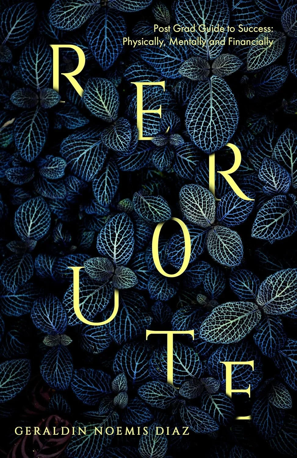 Reroute by Geraldin Noemis Diaz