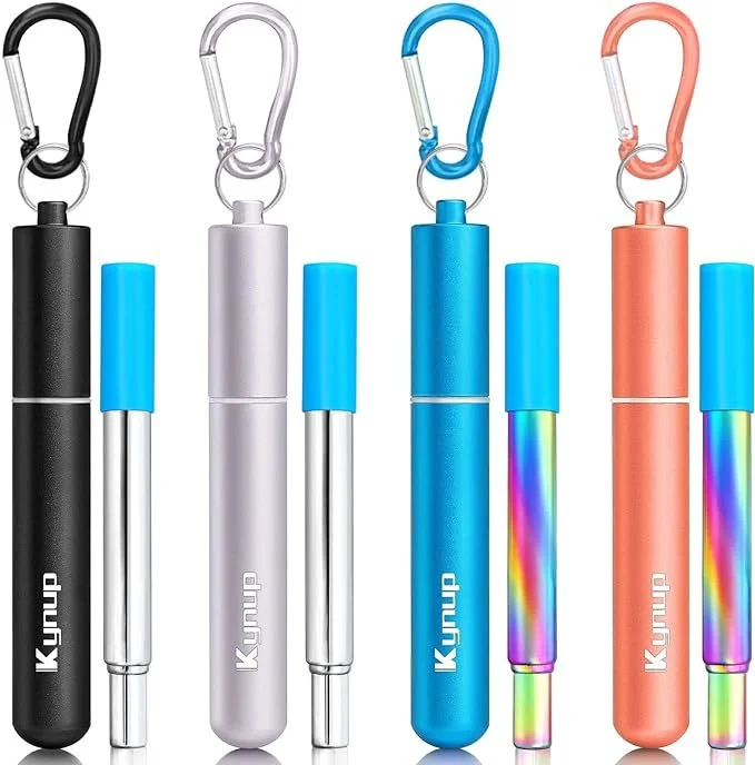 Collapsible reusable metal straws with carrying cases for a Disney park bag