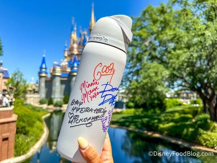 Owala water bottle used for collecting Disney character autographs