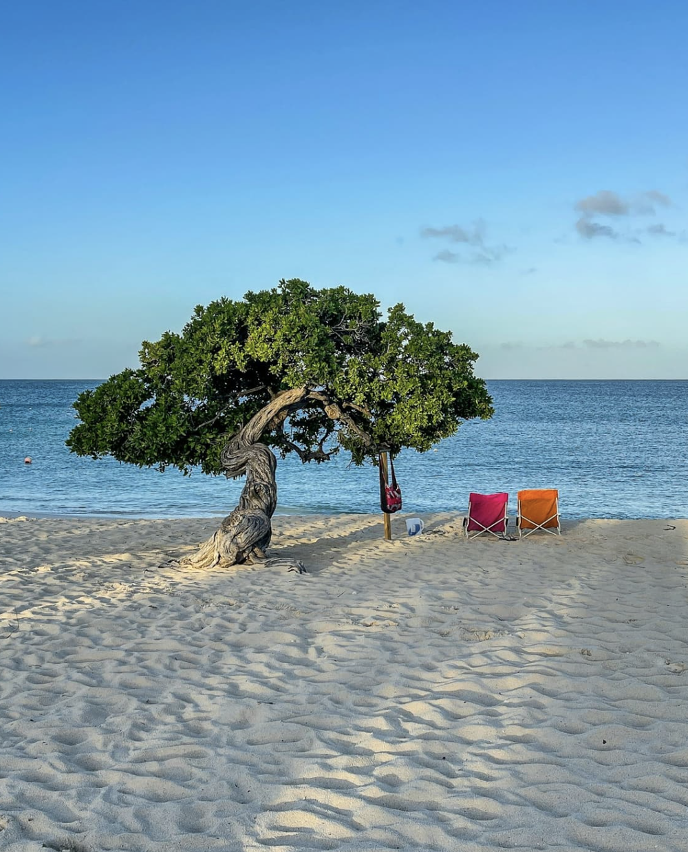 Beach and pool at an Aruba resort day pass