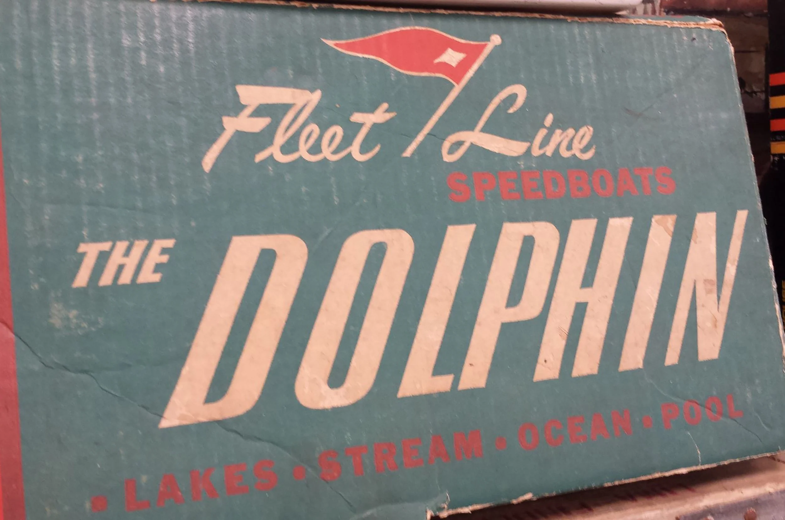 Dolphin Typographic Detail
