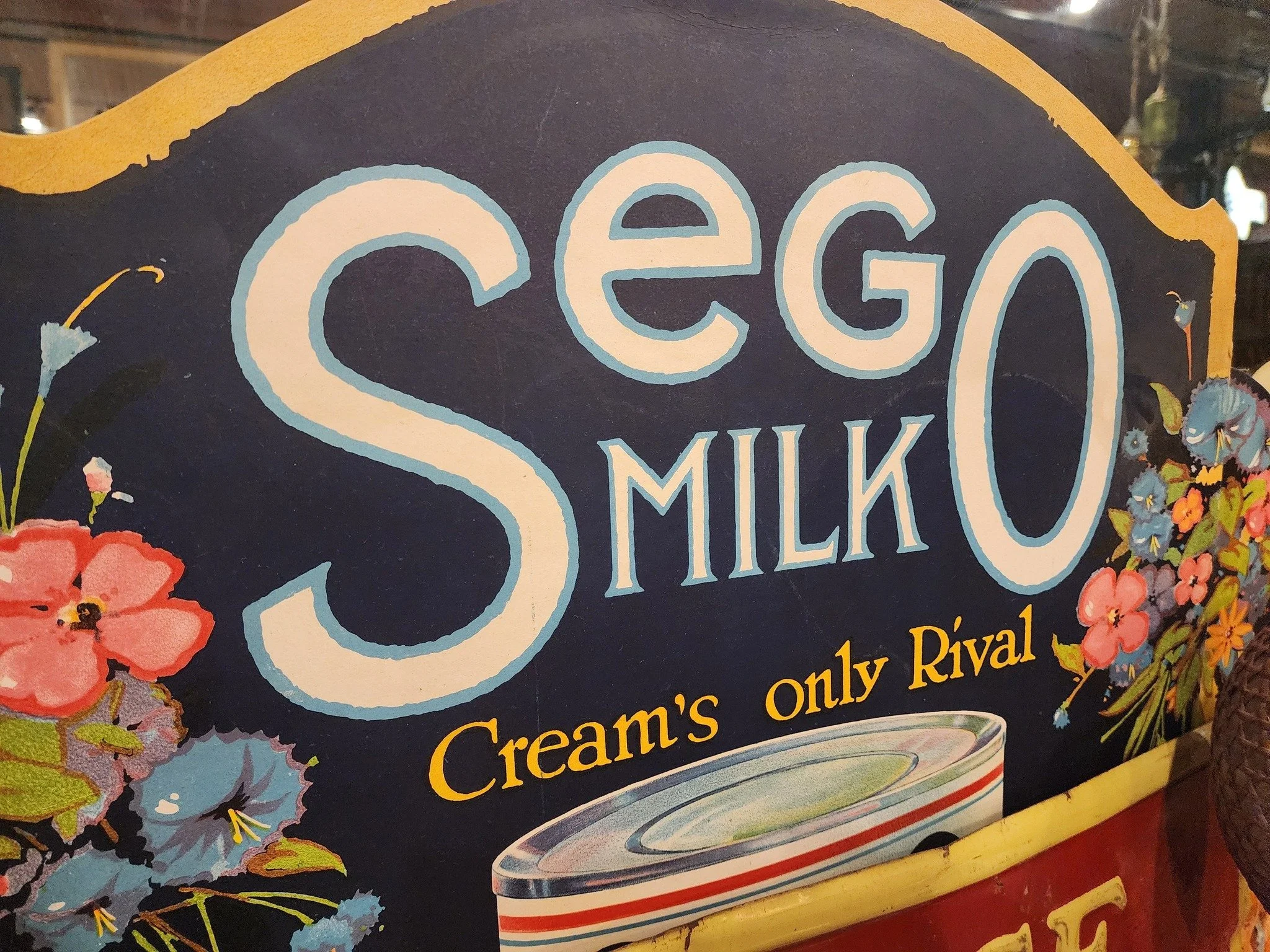 689477156_1289866880005563_4616098154730001829_n.jpg