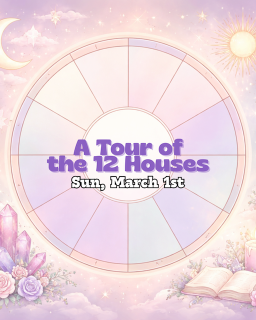 Workshop: A Tour of the 12 Houses