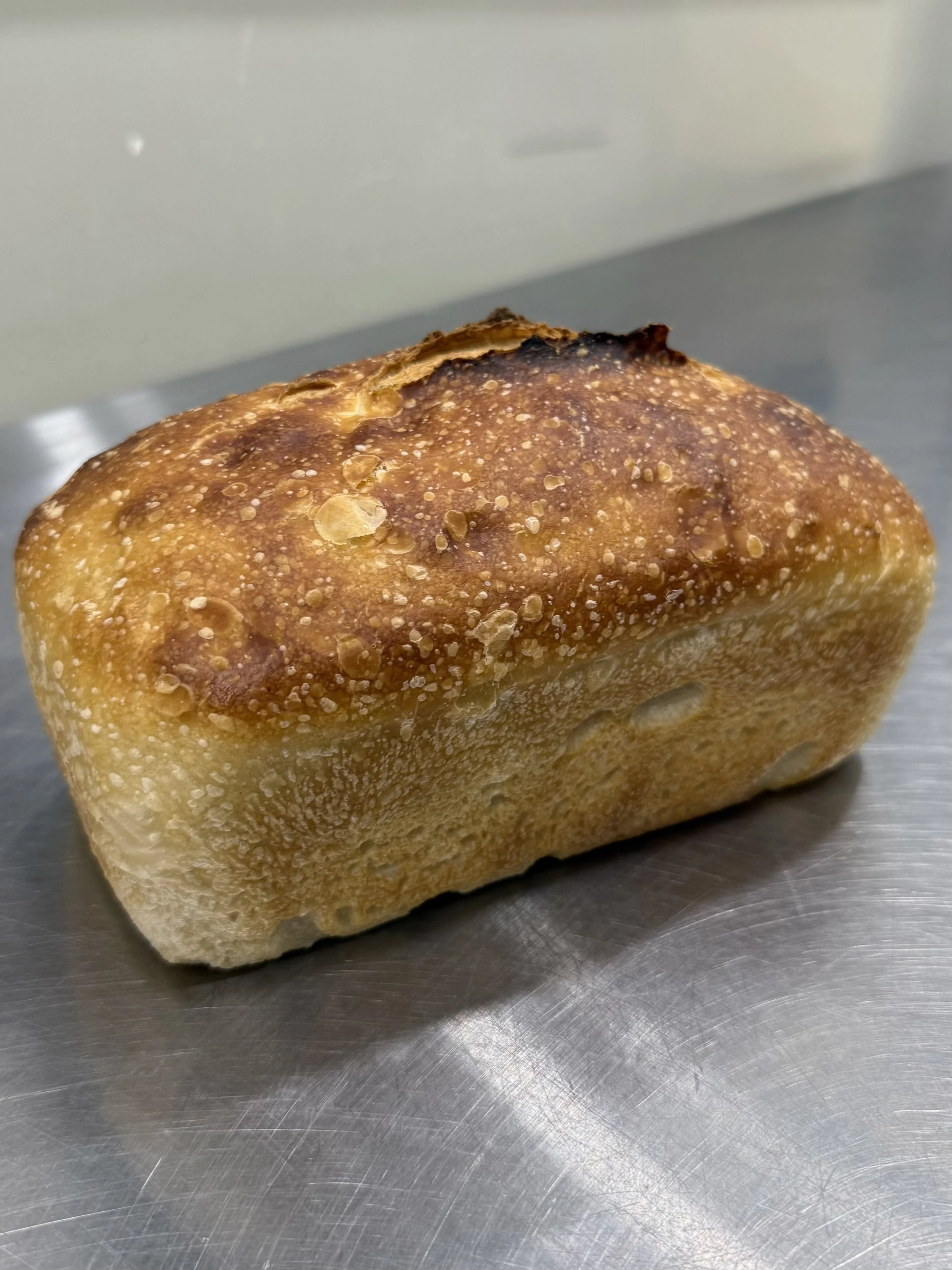 Fococcia Sandwich.jpg