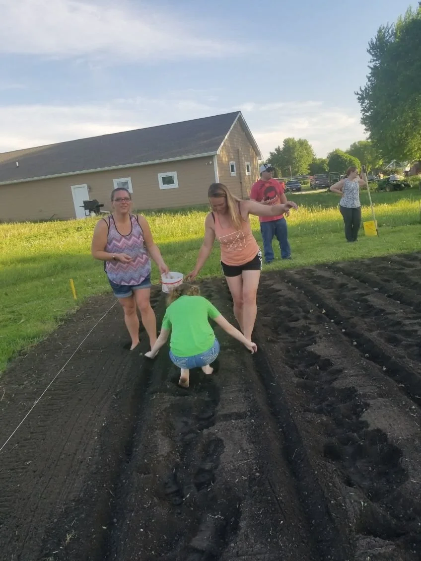 People planting seeds in a garden with rows of tilled soil, a house and trees in the background on a sunny day.