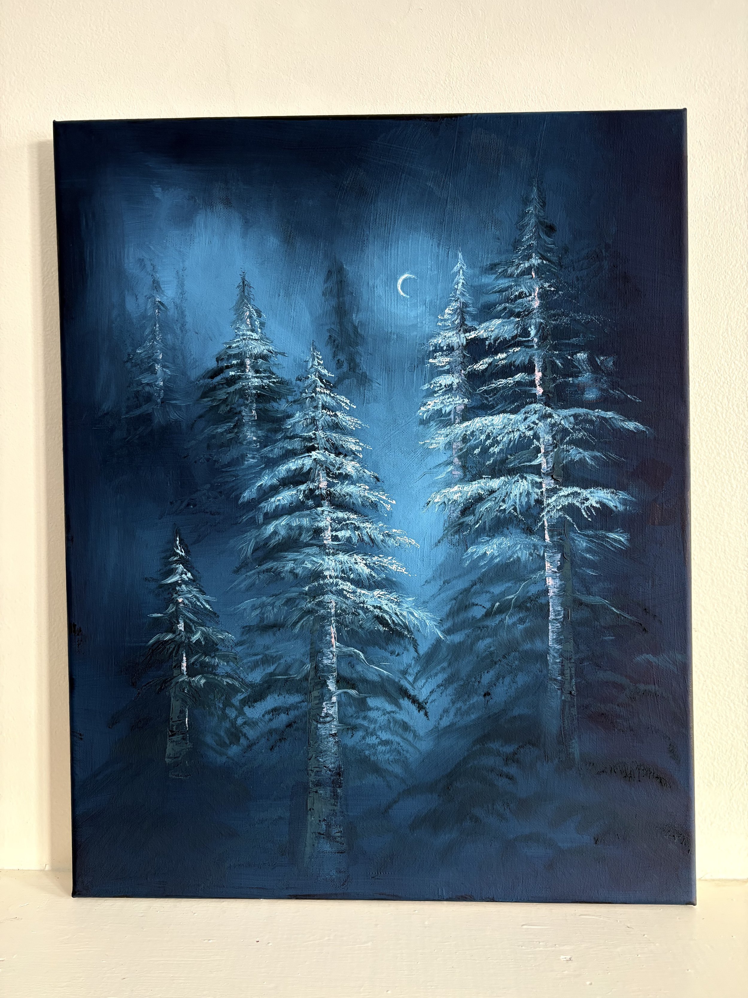 A quiet night in the forst