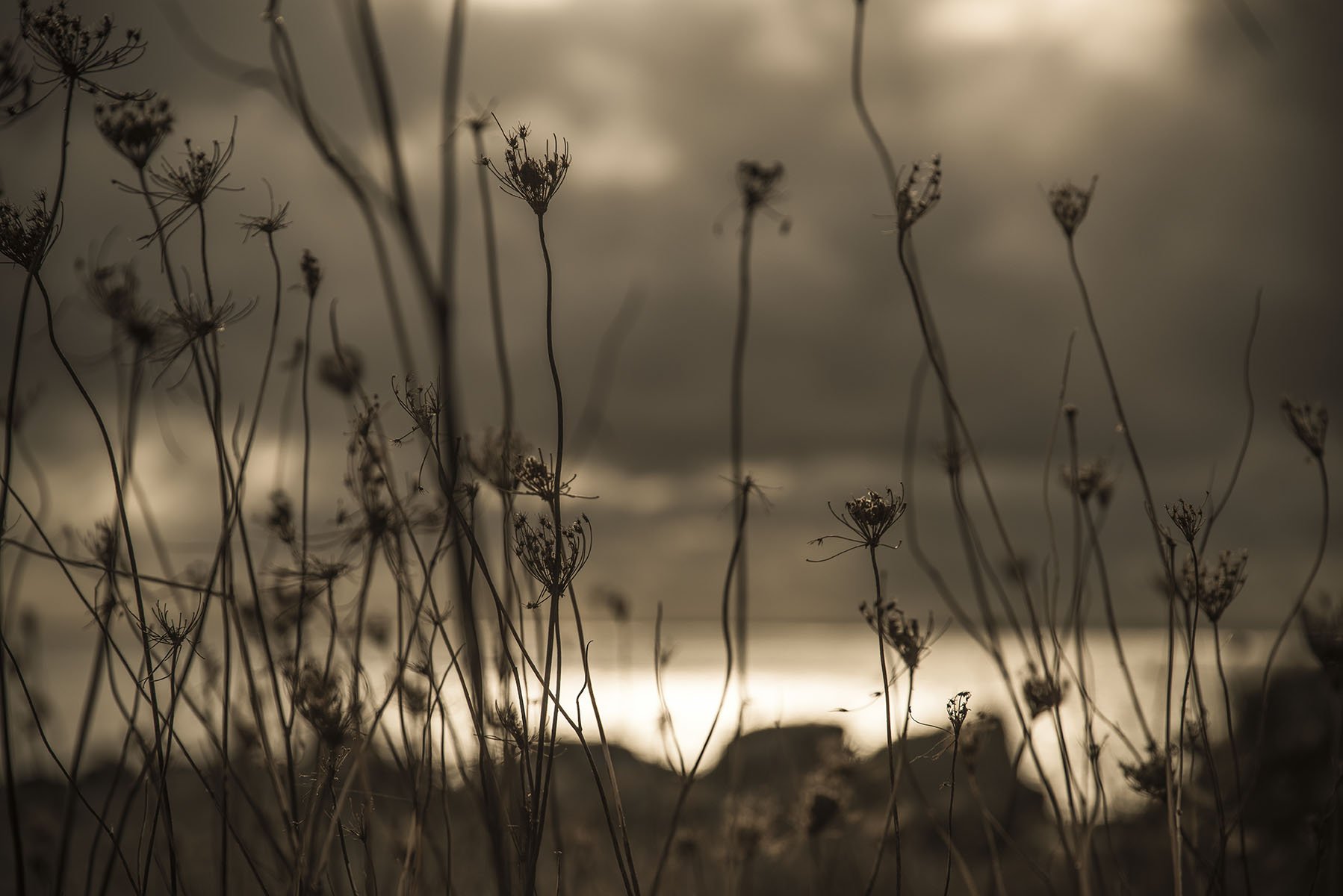 Ingo Guenzel Photo