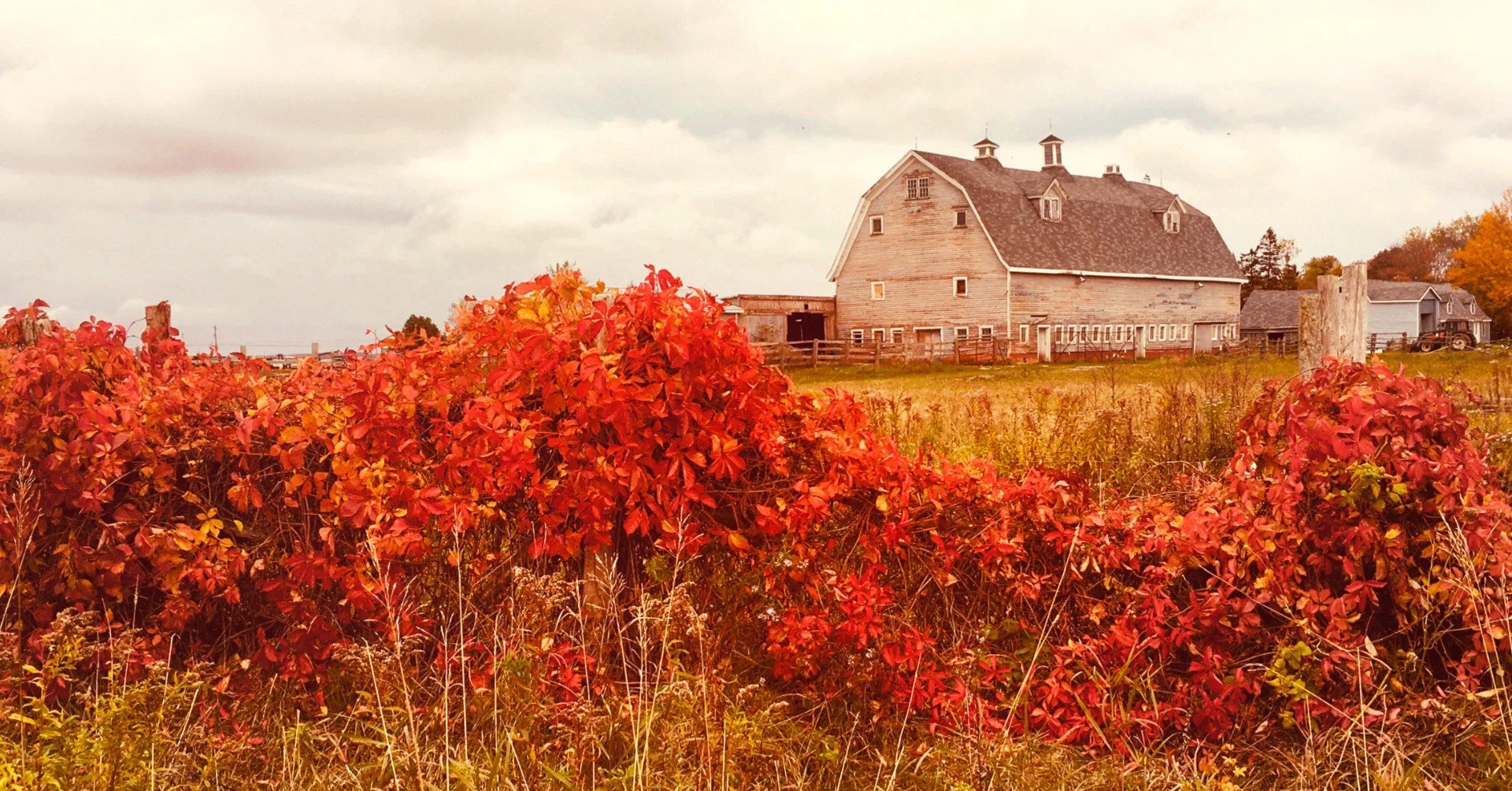 Barn PEI_Beverley Ricardson.jpg