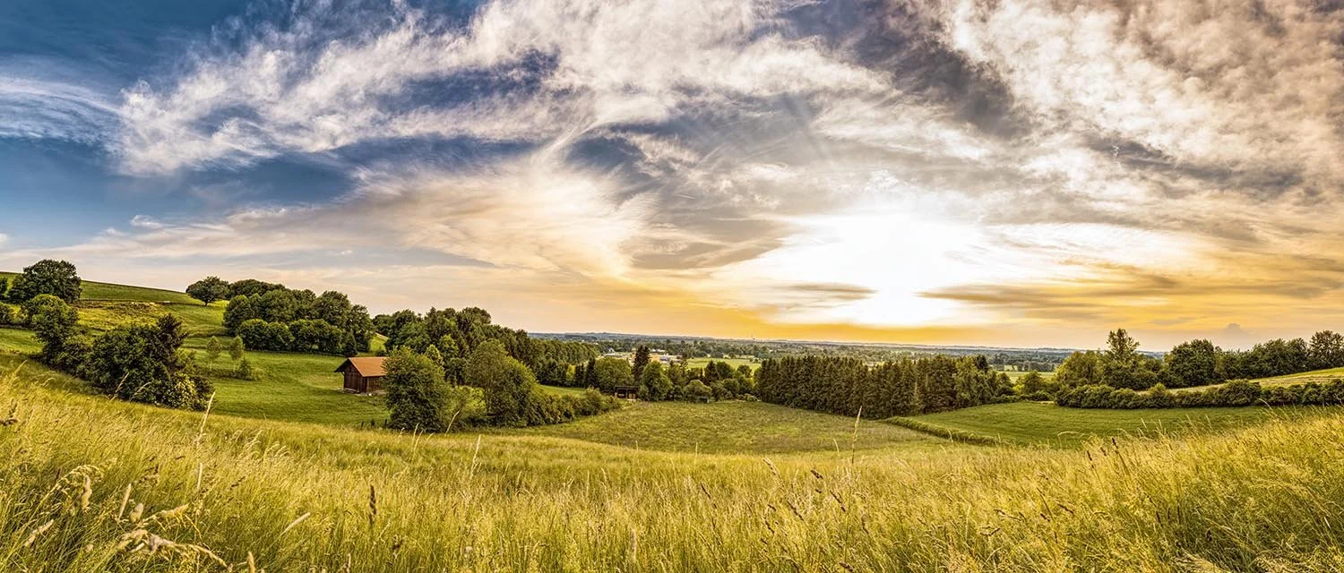 A scenic landscape of rolling green hills during sunset, with scattered trees and a small barn in the distance.