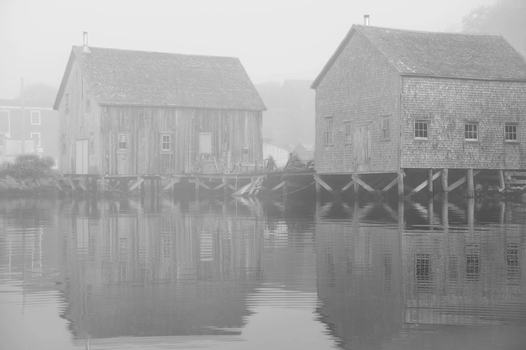 WP05_A-Foggy-Morning_JockMartin.jpg