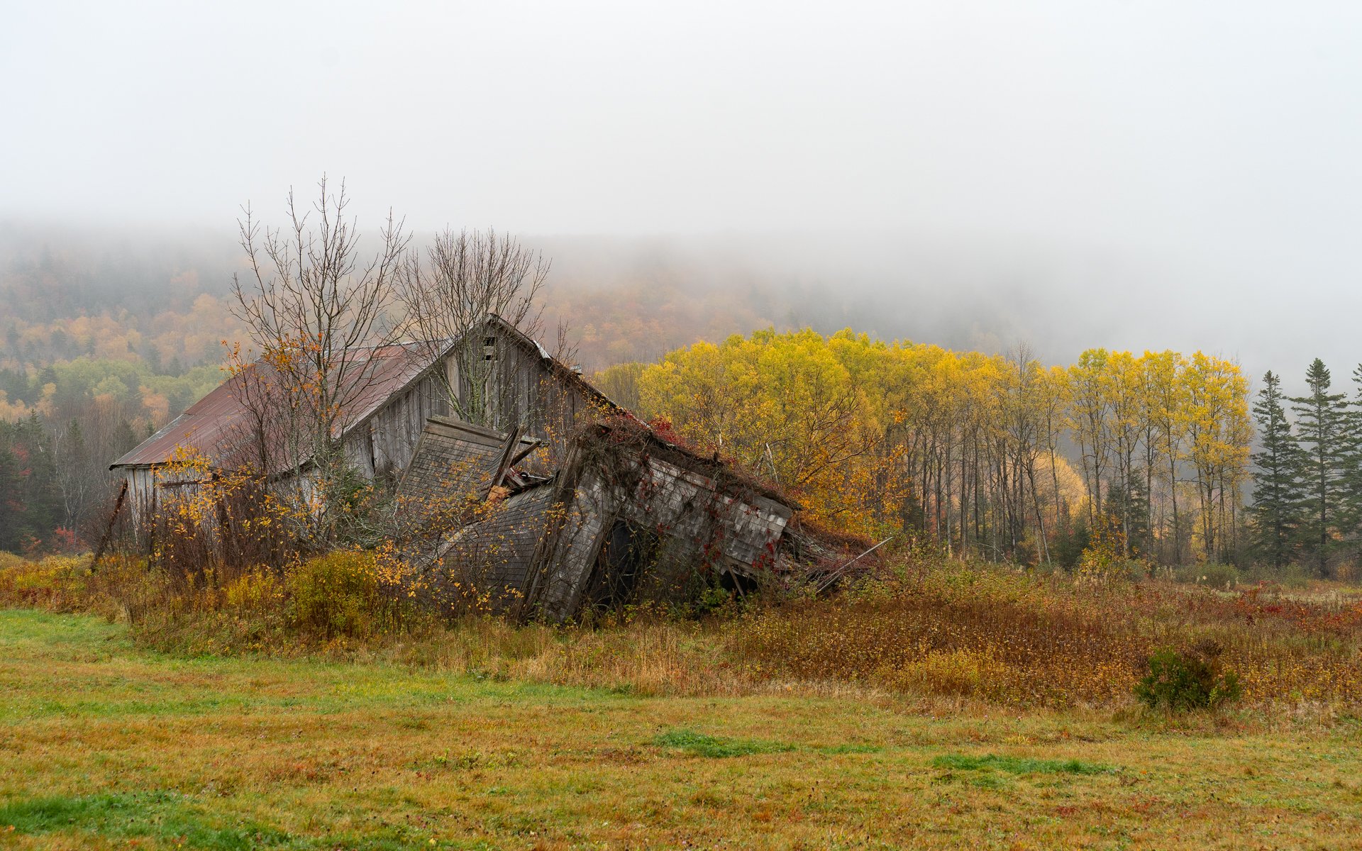 Burnett John_Autumn.jpg