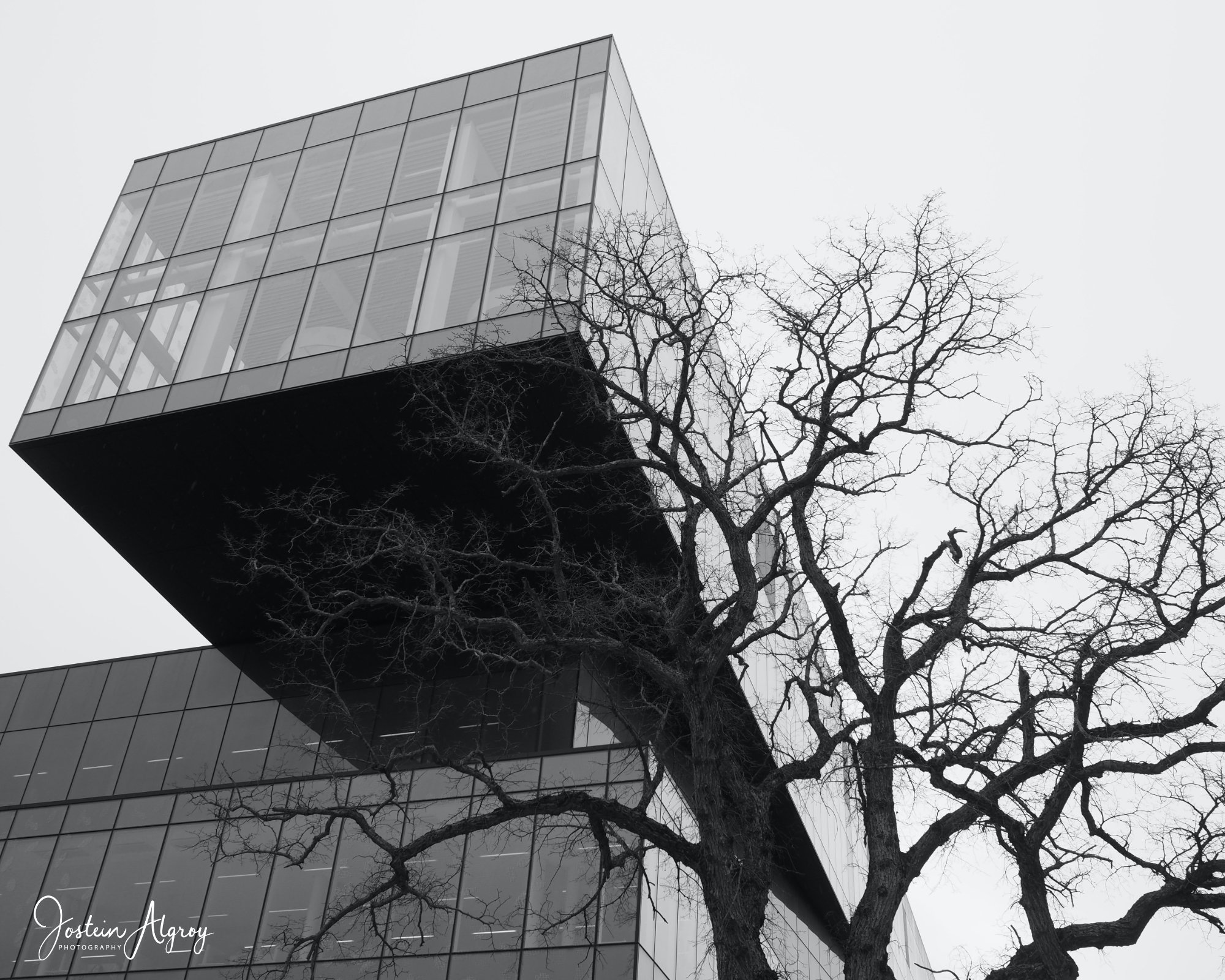 Architecture.jpg
