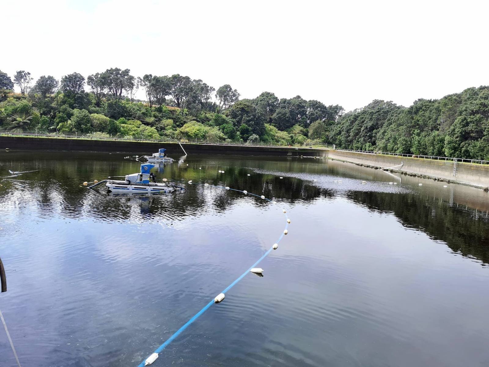 Wastewater pond maintenance