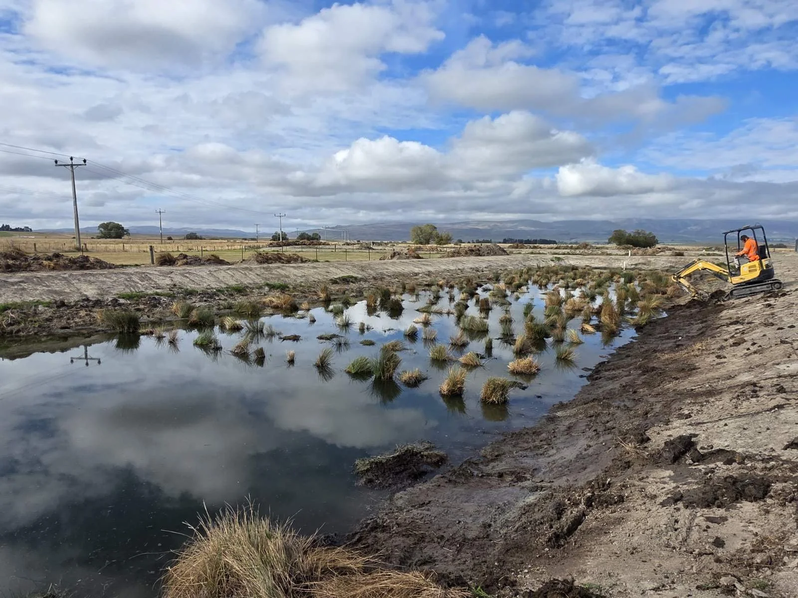 Glasgow Contractors Wastewater Treatment Wetland Replanting.JPG