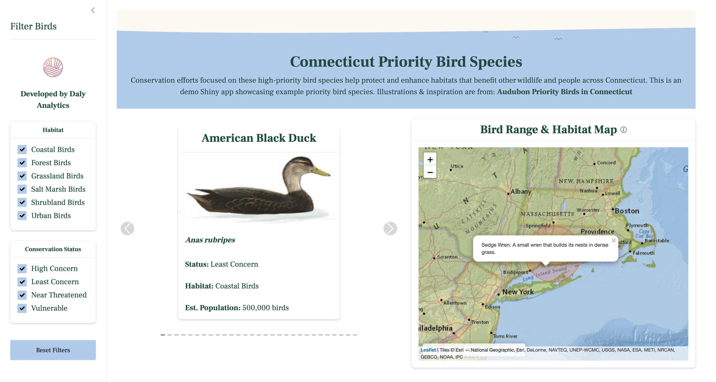 A webpage dedicated to Connecticut priority bird species features a section on the American Black Duck, showing a side view illustration of the duck. To the right, there is a map of Connecticut with a pop-up label explaining the Sedge Wren as a small wren that builds nests in dense grass.