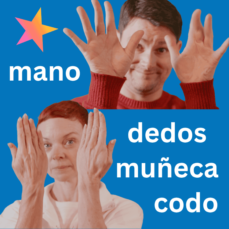 Hand Fingers Spanish for web resized.png