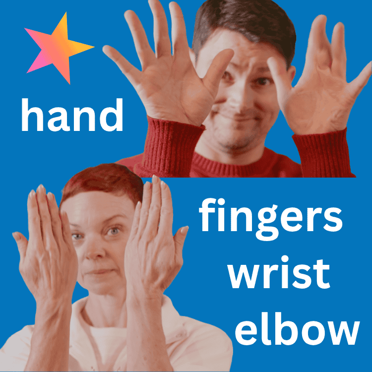 Hand Fingers for web resized.png