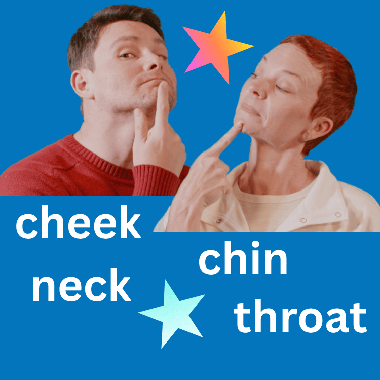 Cheek Chin for web resized.png