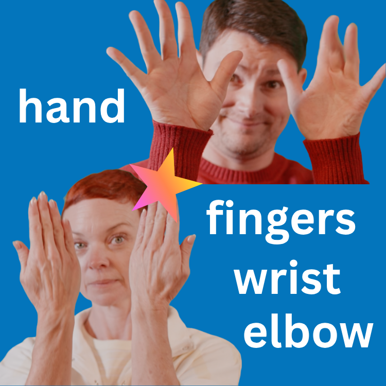 Hand Fingers graphic English.png