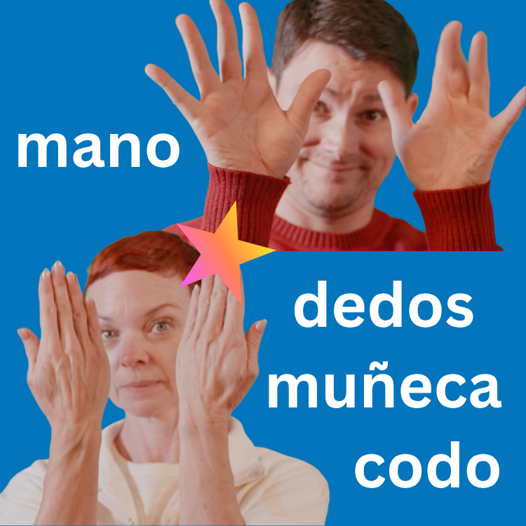 Hand Fingers web graphic Spanish.png