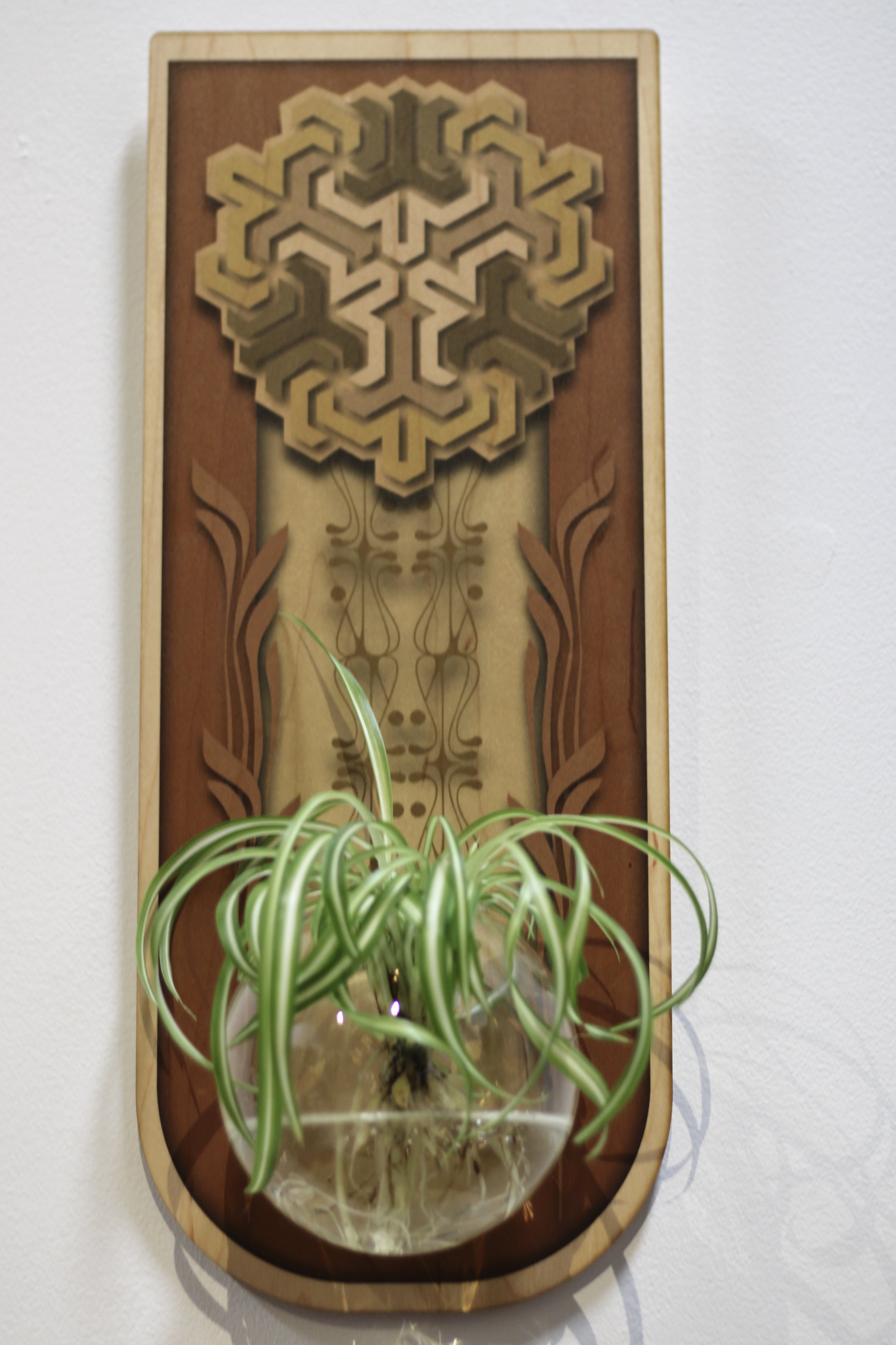 The Organics Mechanics II