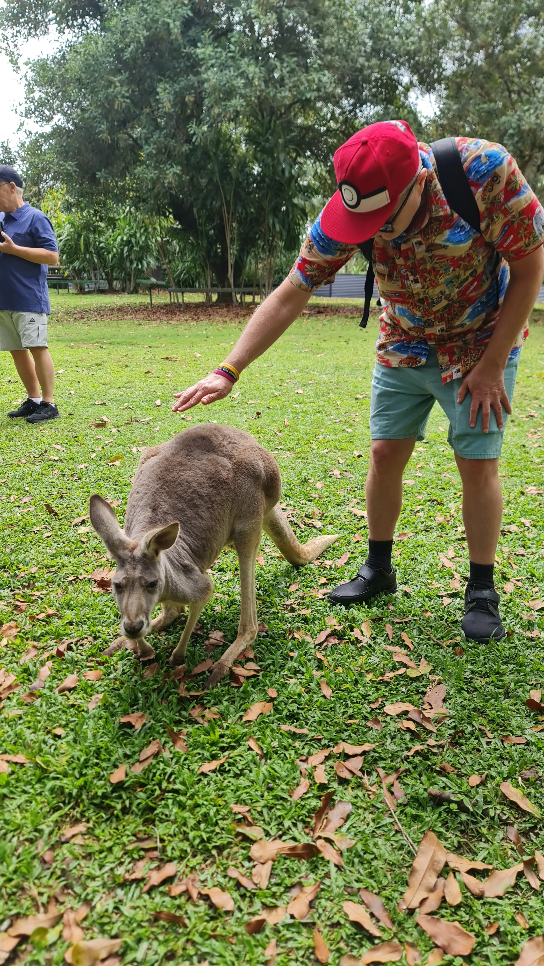 A man in a colorful Hawaiian shirt and red Cap with a Pokéball design gently petting a kangaroo in a park. Another man in a blue shirt and shorts is in the background.