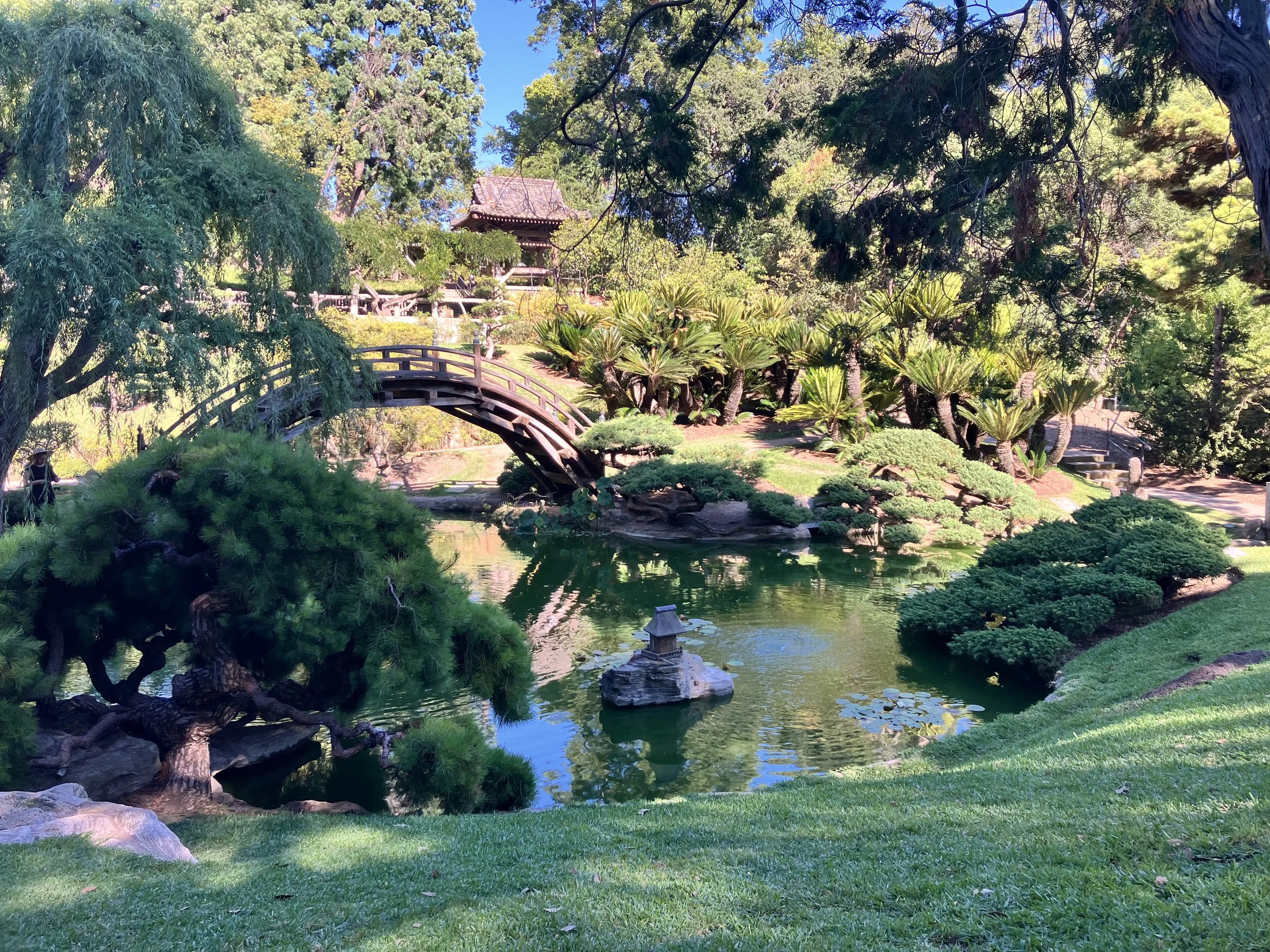 Highly Sensitive Person, Self-Care, Amanda Cassil, bridge over pond