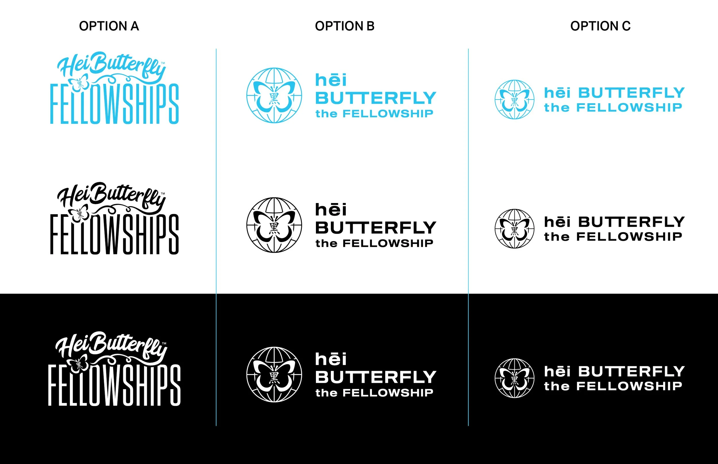 HBTI_Fellowships_Logo_OPTIONS-01.jpg