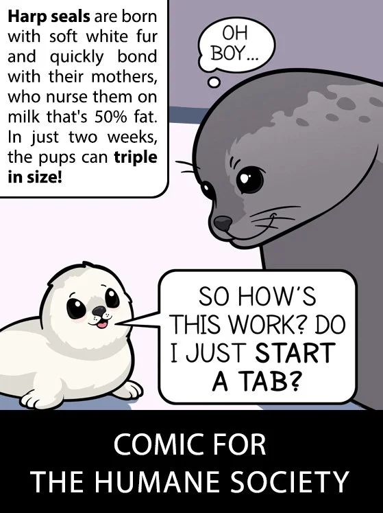 seal.jpg