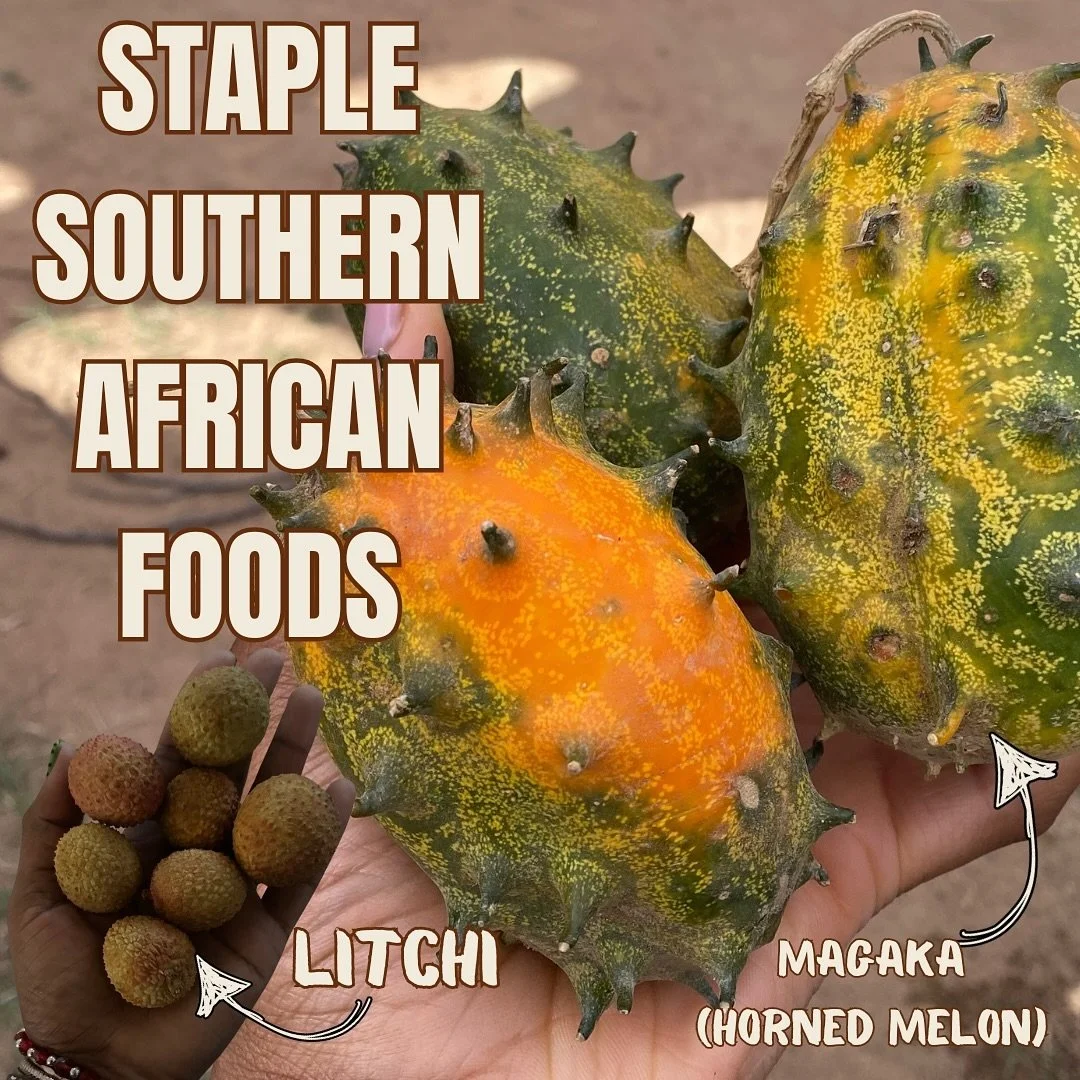 Discover the rich, vibrant flavours of Southern Africa! 🌍✨

Southern African cuisine is a diverse and flavorful tapestry woven from indigenous ingredients, traditional methods, and a blend of cultural influences. At its heart are staples like pap/sa